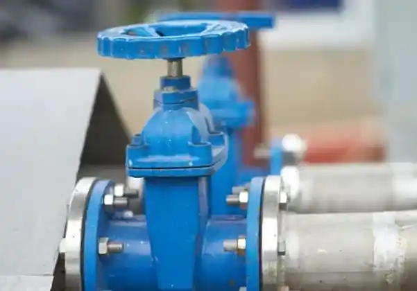 YES Gate Valves