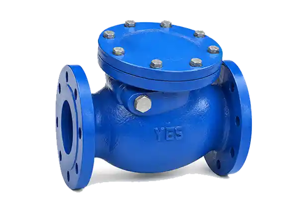 Ball Type Check Valves