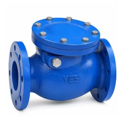 Check Valves
