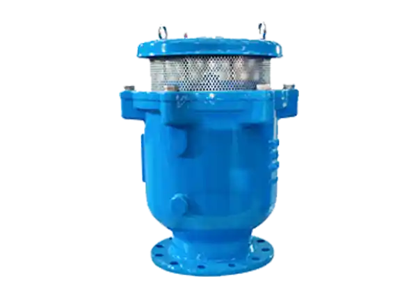 Double Orifice & Triple Function Air valves