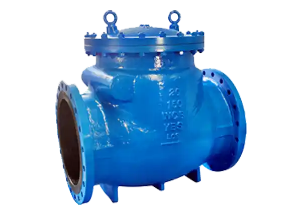 Swing Check Valves